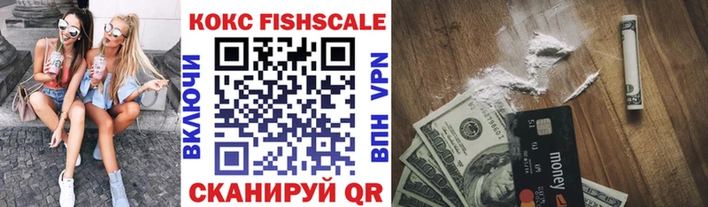 где купить наркотик  Мичуринск  COCAIN FishScale 