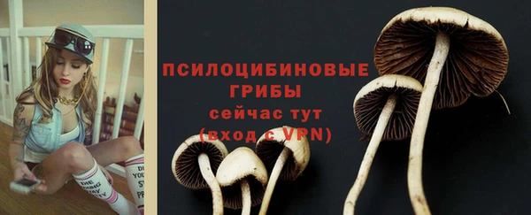 COCAINE Алзамай