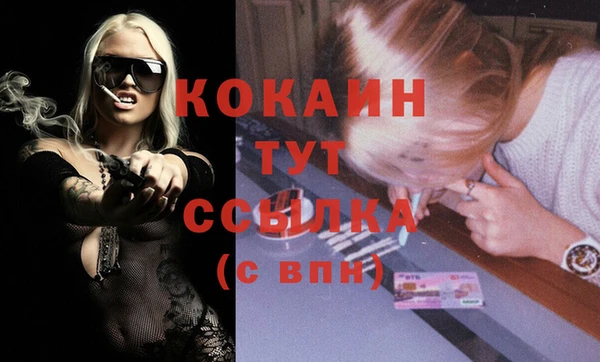 мдпв Ветлуга